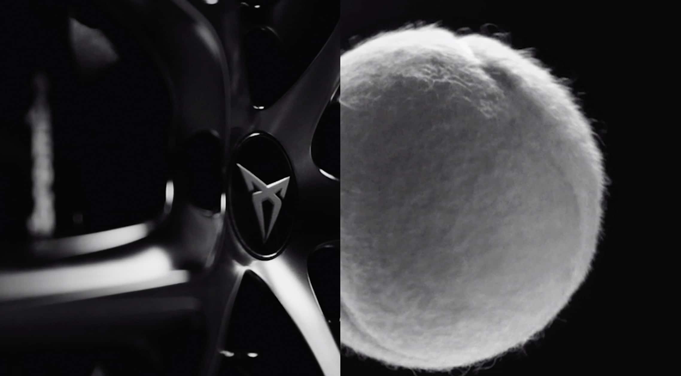CUPRA and world patel tour video on our collaboration